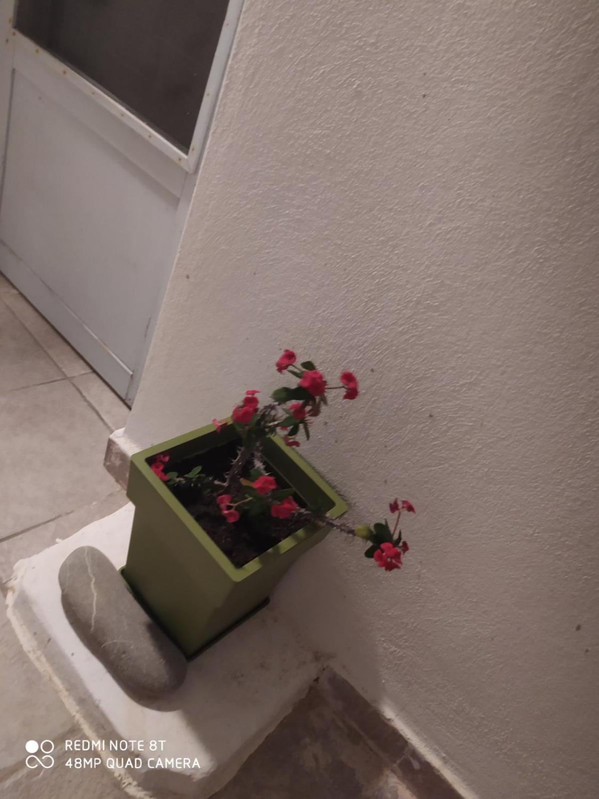 Aiolos Traditional House In Apartment